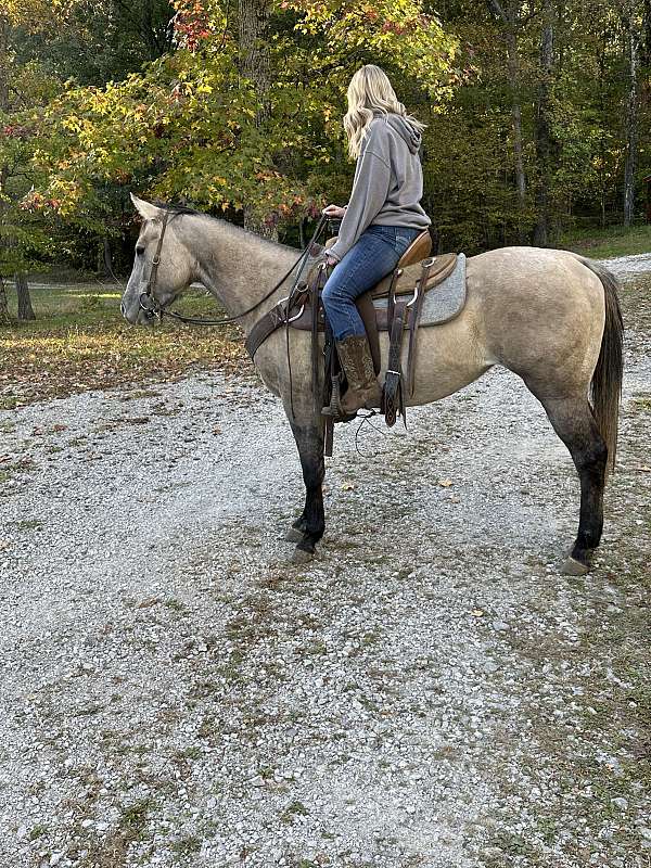 barrel-racing-quarter-horse