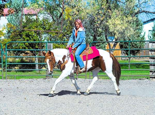 trail-mustang-horse