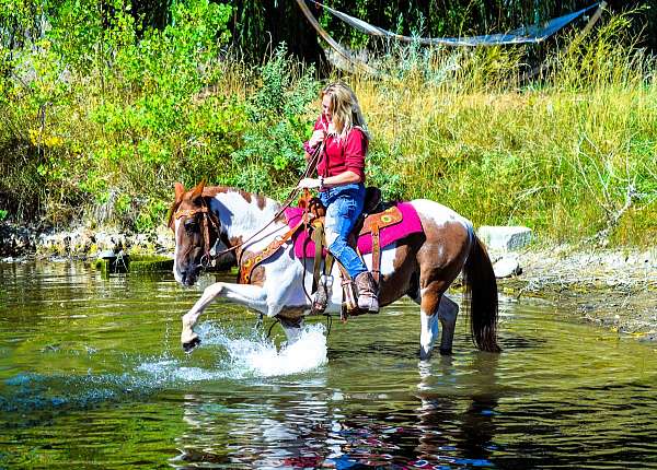 tobiano-see-pics-horse