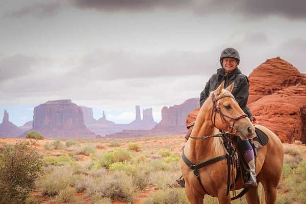 palomino-aqha-gelding