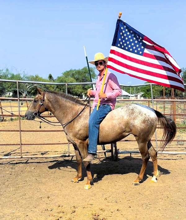 red-roan-see-pics-pony