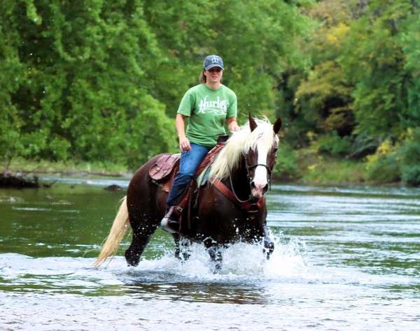 family-draft-horse