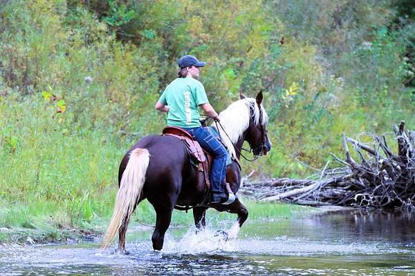 husband-safe-draft-horse