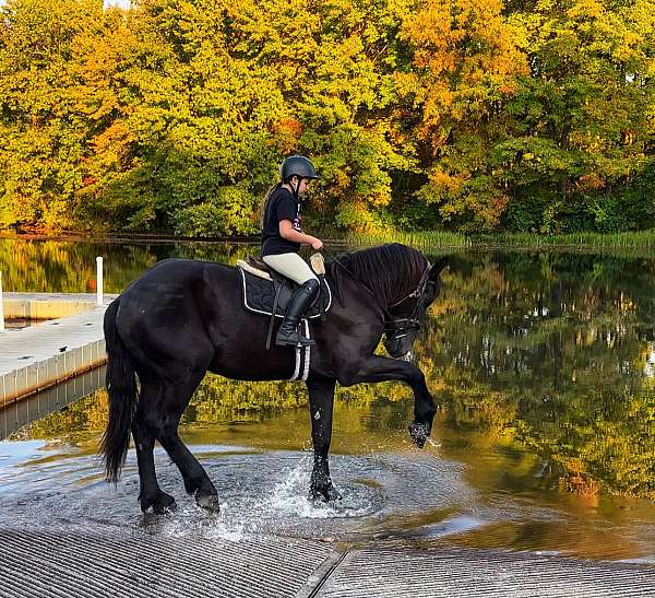 driving-draft-horse