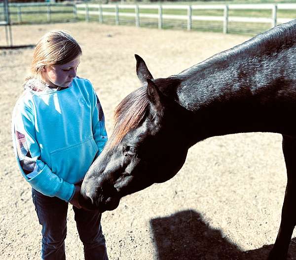 black-see-pics-horse