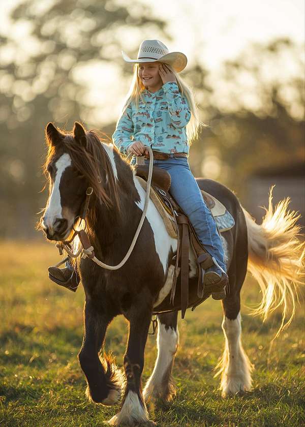 tobiano-horse