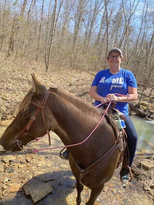 beautiful-kentucky-mountain-horse