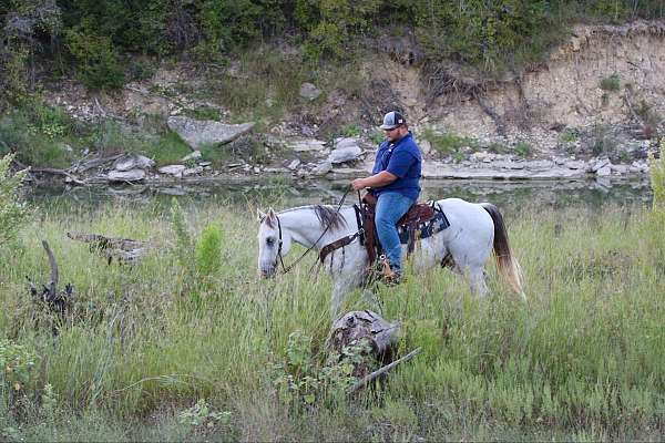 ranch-work-quarter-horse