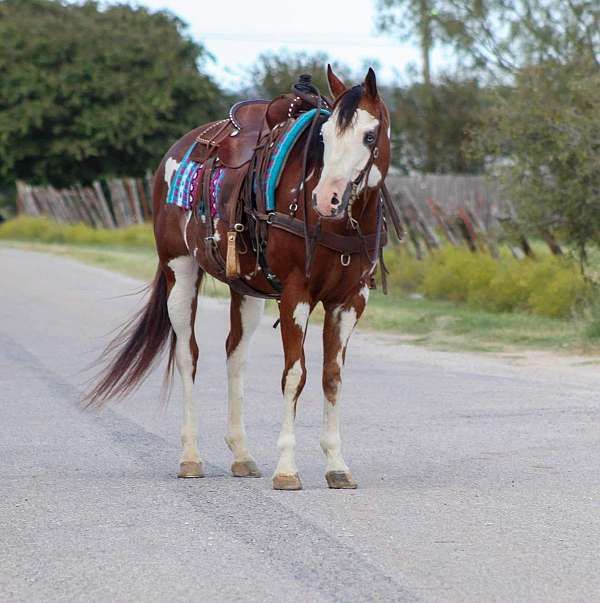 trail-paint-horse