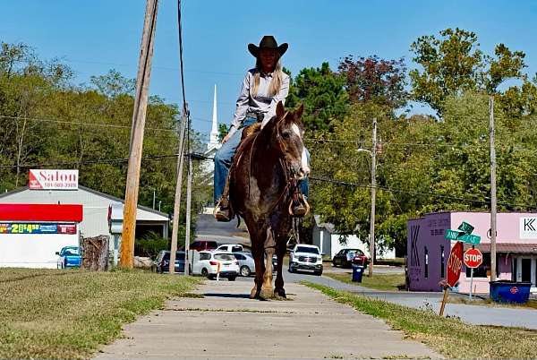 trail-paint-horse