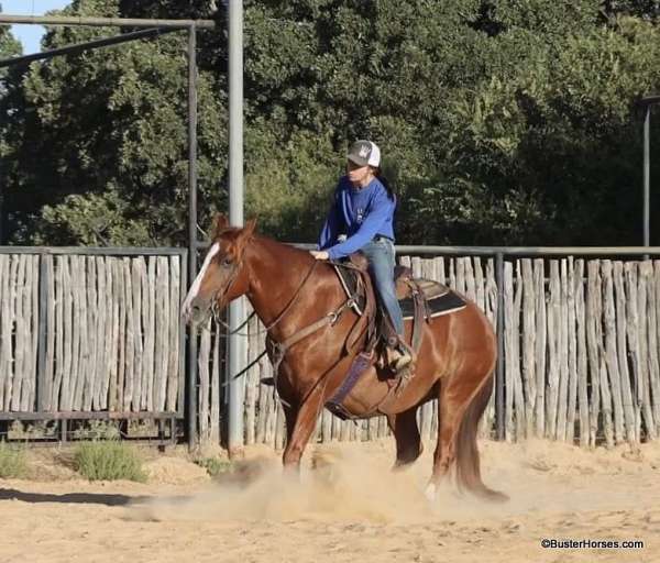 sorrel-trail-class-competition-donkey