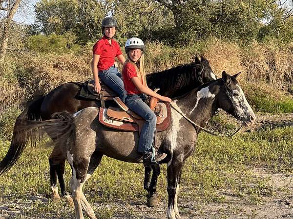 ranch-work-quarter-horse