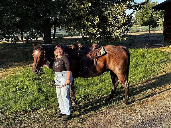 gelding-quarter-horse