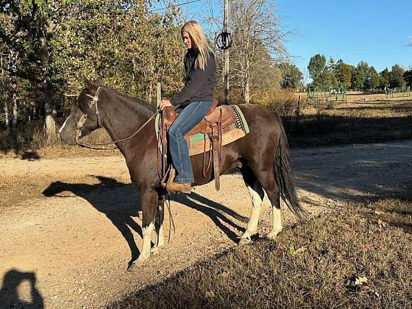 husband-safe-quarter-horse