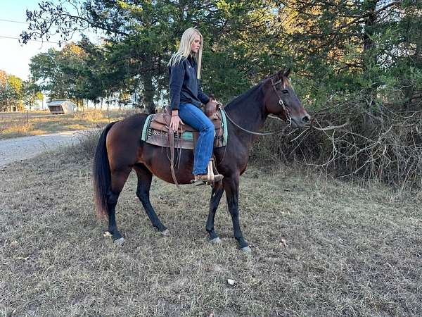 flashy-missouri-fox-trotter-horse