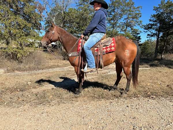 husband-safe-quarter-horse