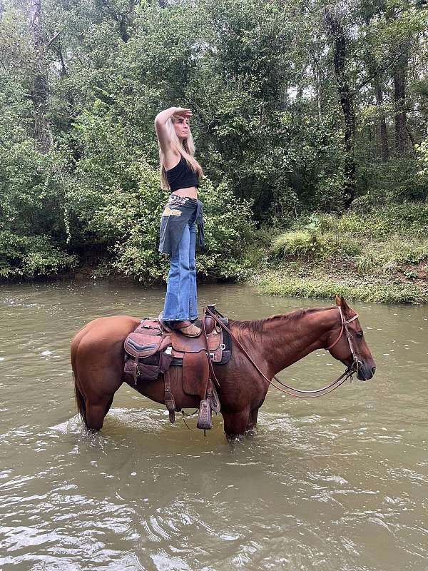 trotted-the-barrels-quarter-horse