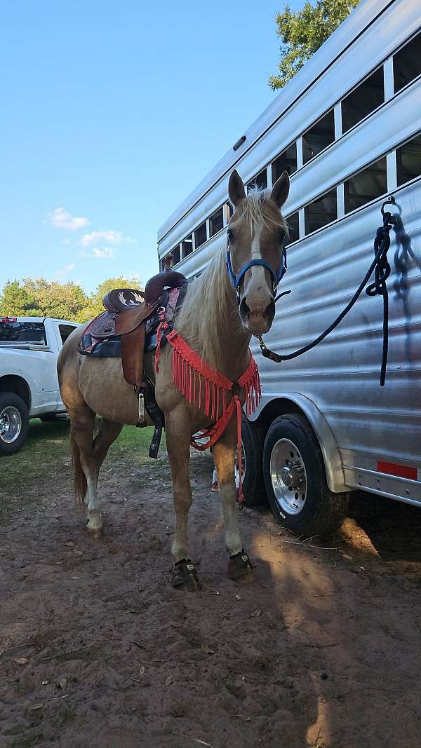 barrel-racing-quarter-horse