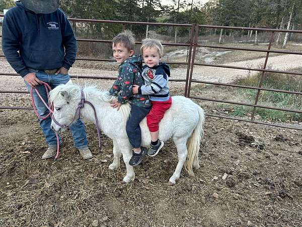 white-trail-youth-pony