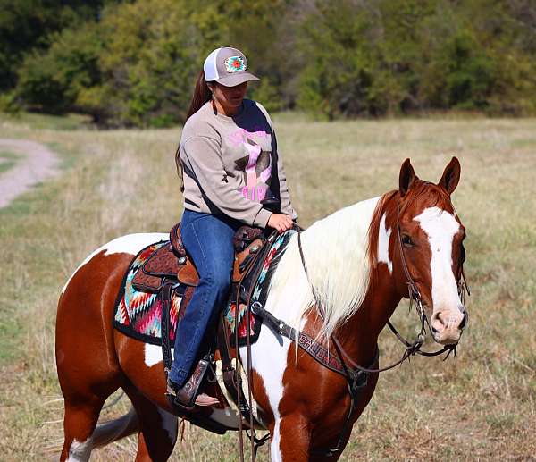 dressage-paint-horse