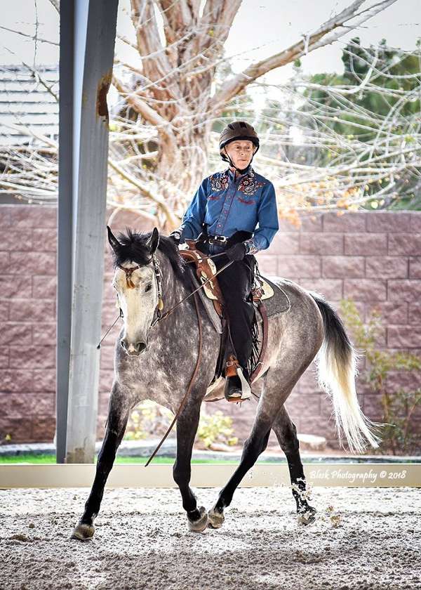 dressage-mustang-horse