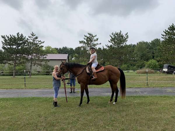 family-beginners-quarter-pony