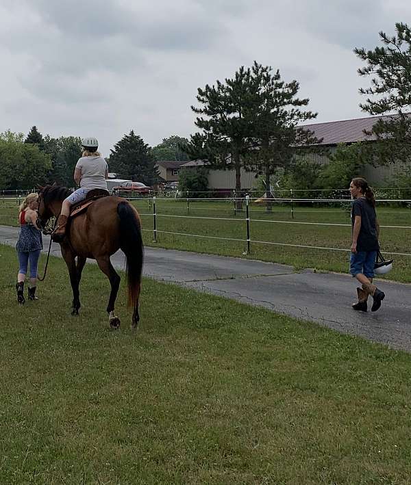 safe-family-quarter-pony