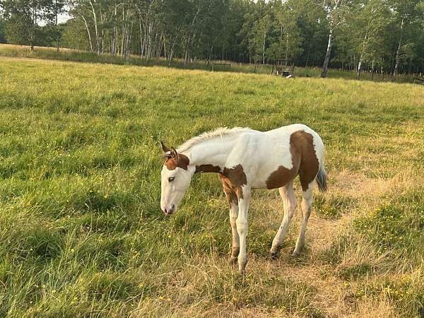 paint-weanling