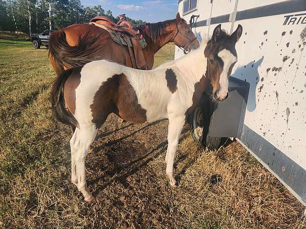 paint-weanling