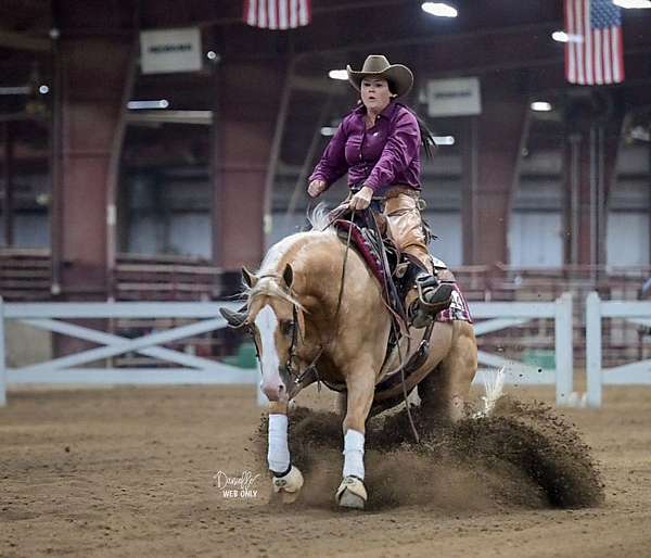 reining-quarter-horse