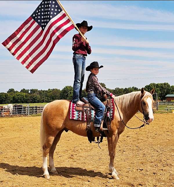 roping-quarter-horse