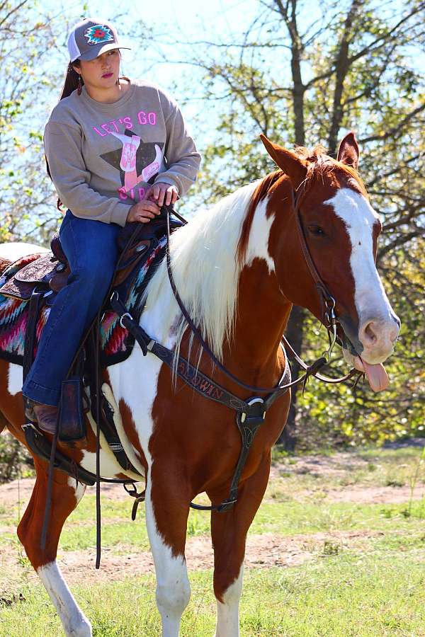 ranch-versatility-paint-horse