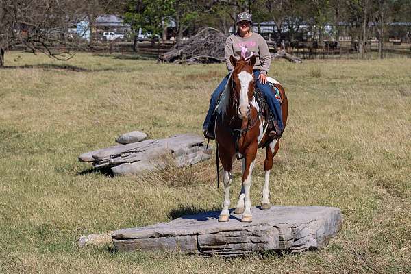 roping-paint-horse