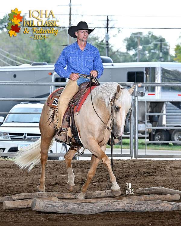 calf-roping-quarter-horse