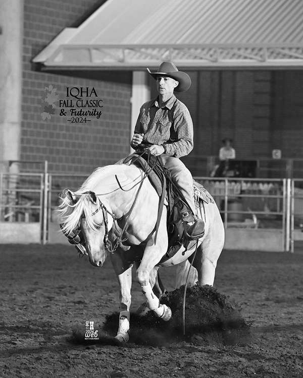 trail-riding-quarter-horse