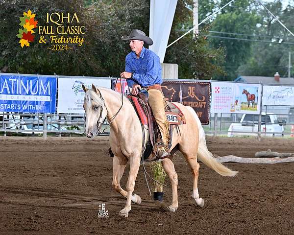 western-riding-quarter-horse