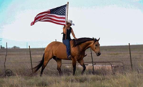 flashy-quarter-horse