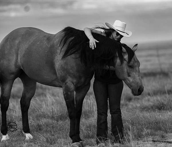 roping-quarter-horse