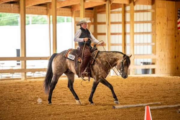 breeding-quarter-horse