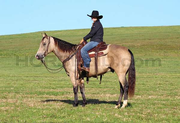 ranch-versatility-quarter-horse