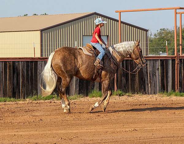 flashy-quarter-horse