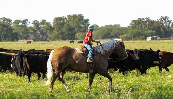 ranch-work-quarter-horse