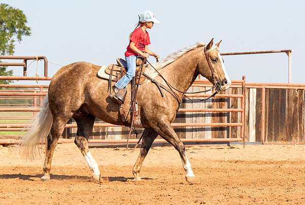 roping-quarter-horse