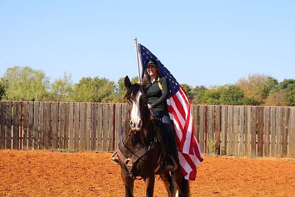 kid-safe-gypsy-vanner-horse