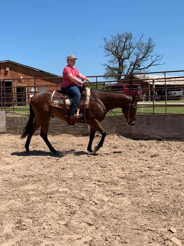 calf-roping-quarter-pony