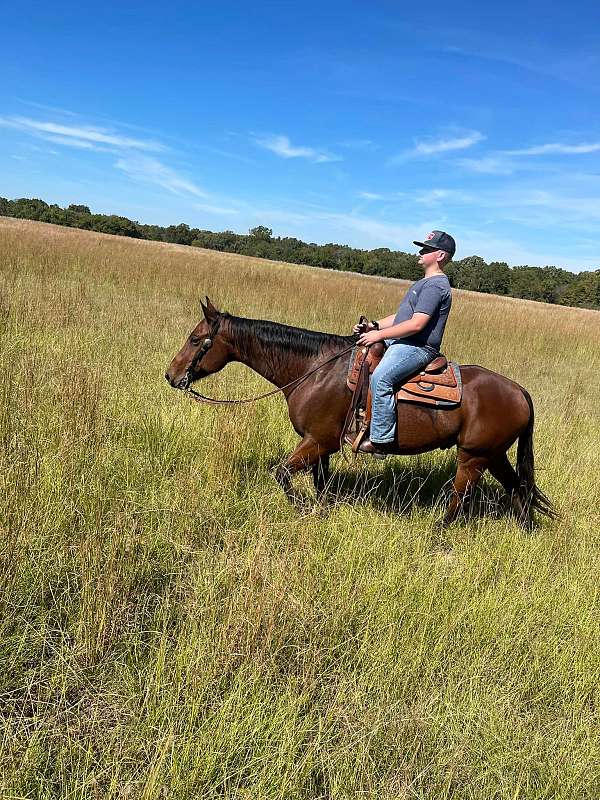 ranch-work-quarter-pony