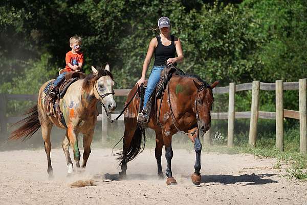 western-riding-quarter-pony