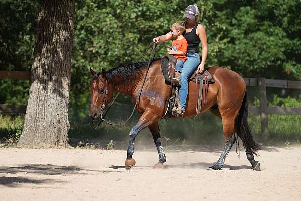 trail-riding-quarter-pony