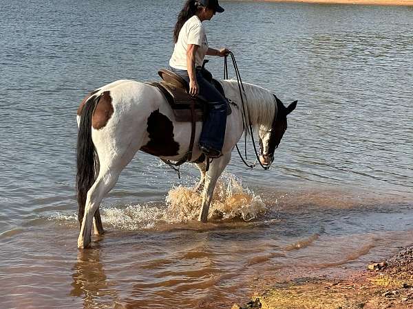 kid-safe-paint-horse