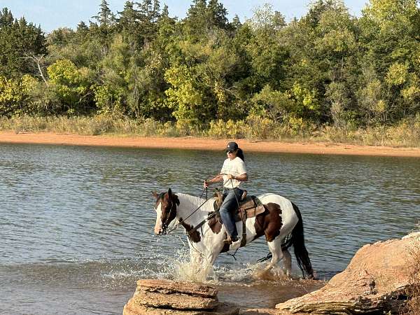 athletic-paint-horse